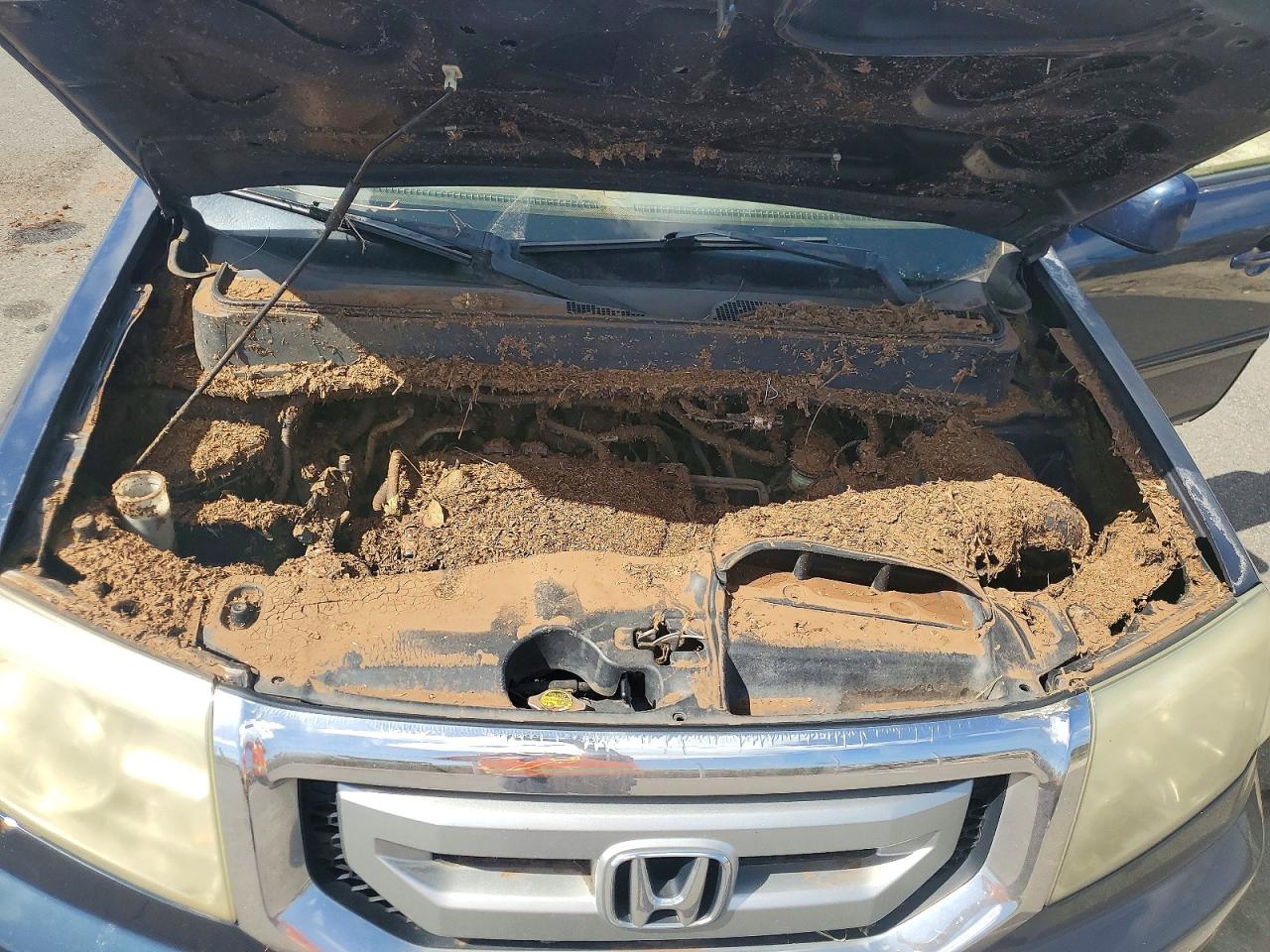 Honda Pilot Exl