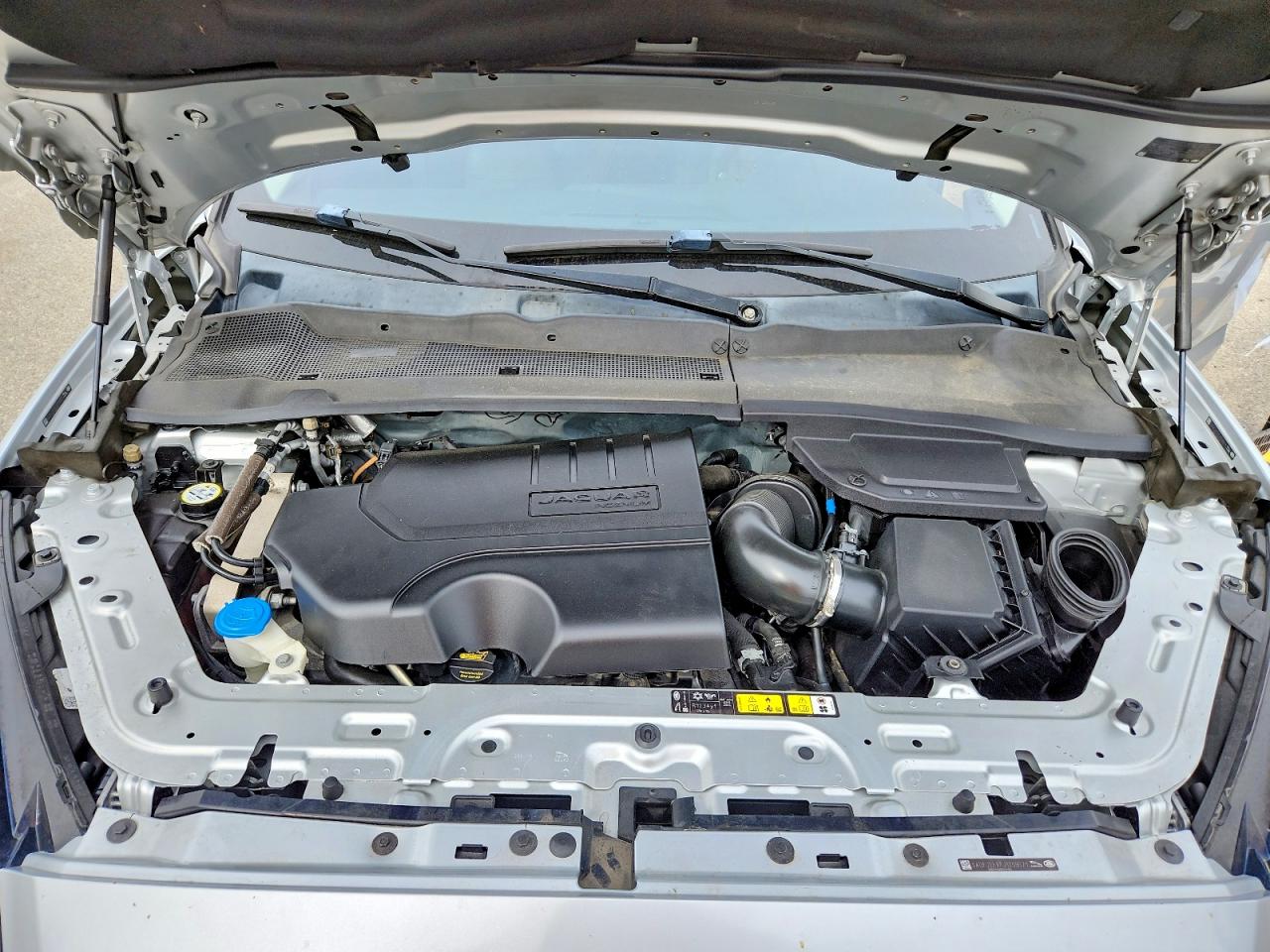 Jaguar Etype S