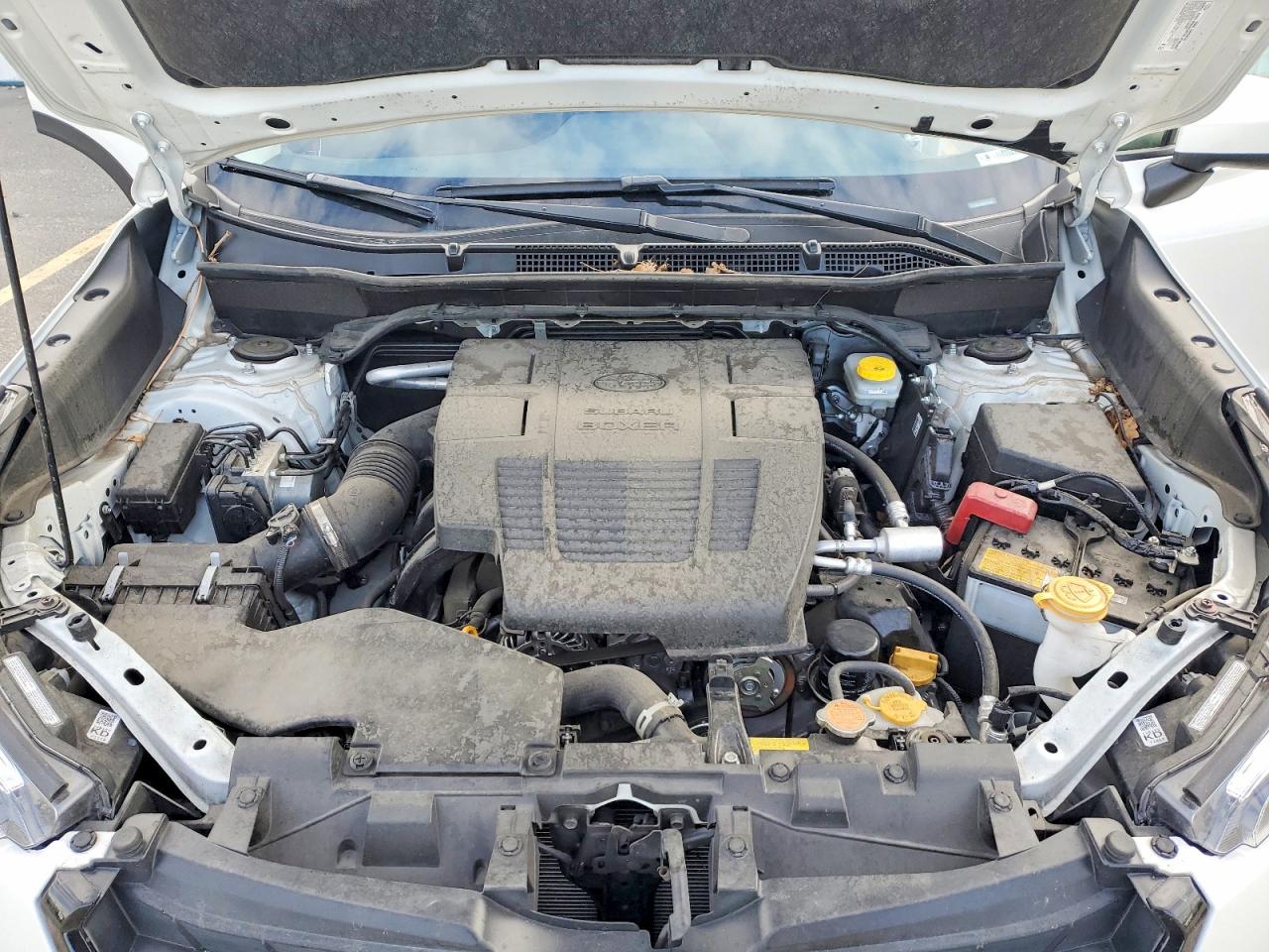 Subaru Forester Premium