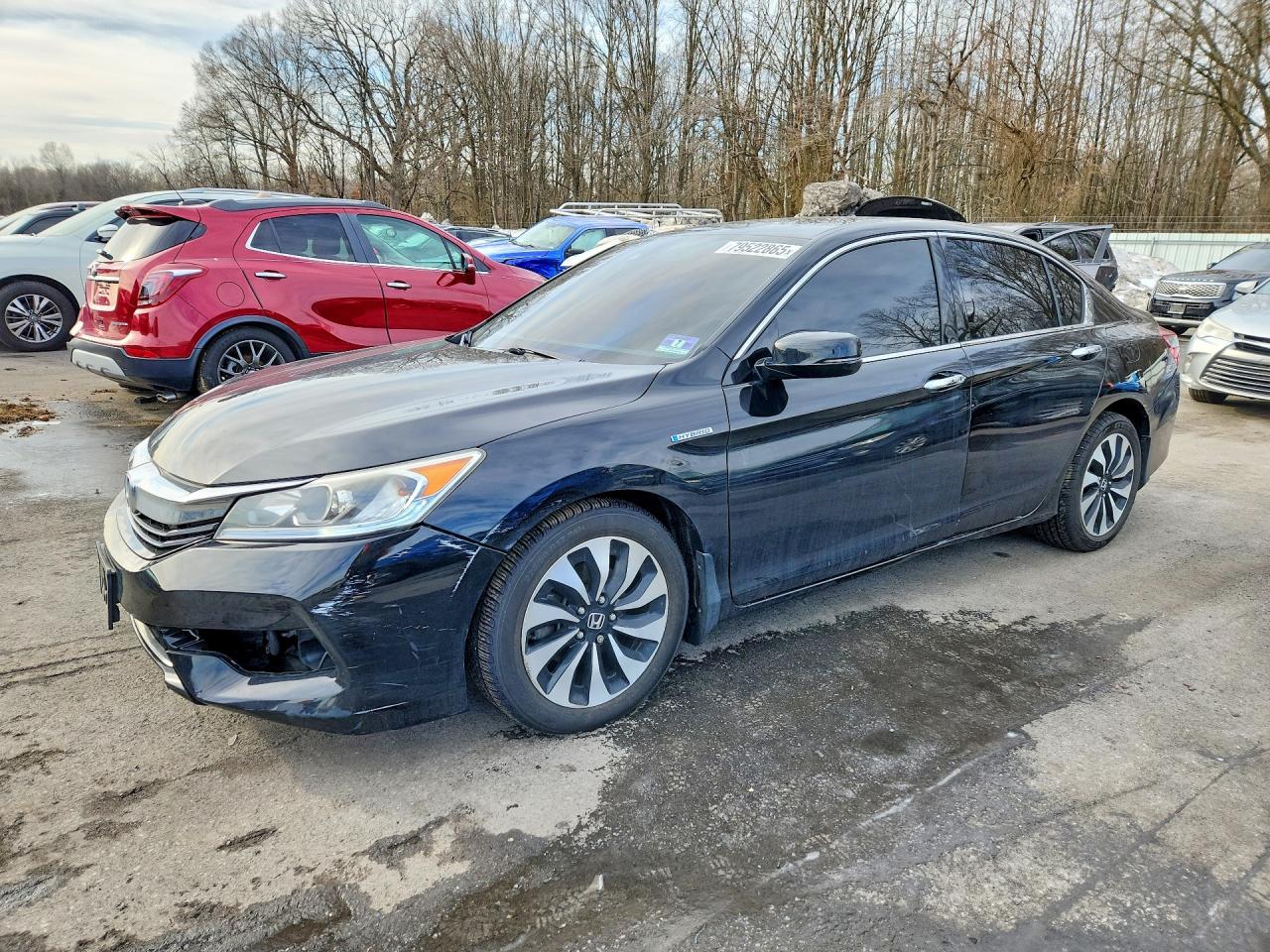 Salvage Honda Accord Image