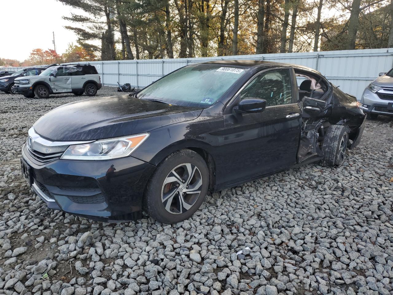 Salvage Honda Accord Image