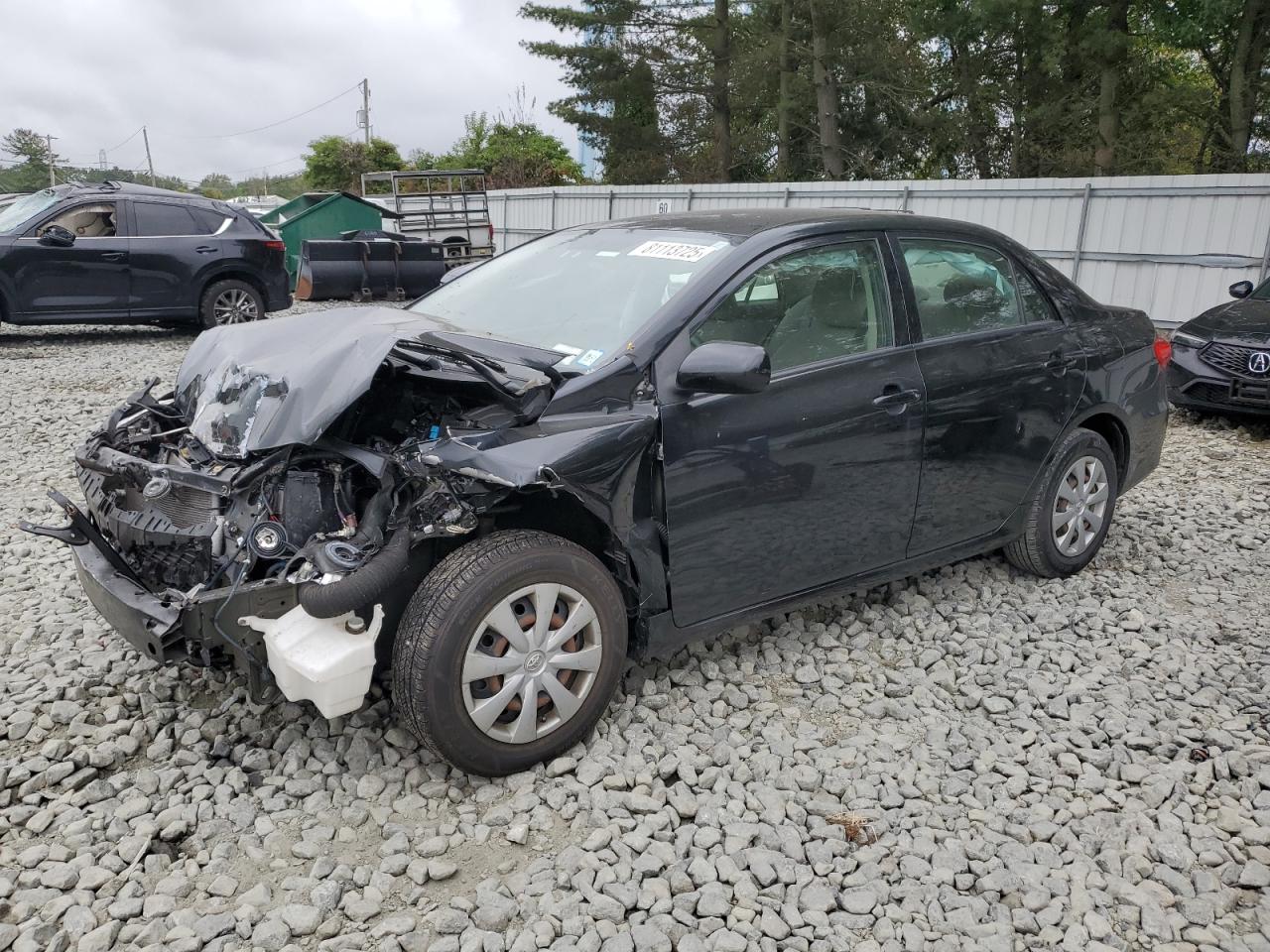 Salvage Toyota Corolla Image