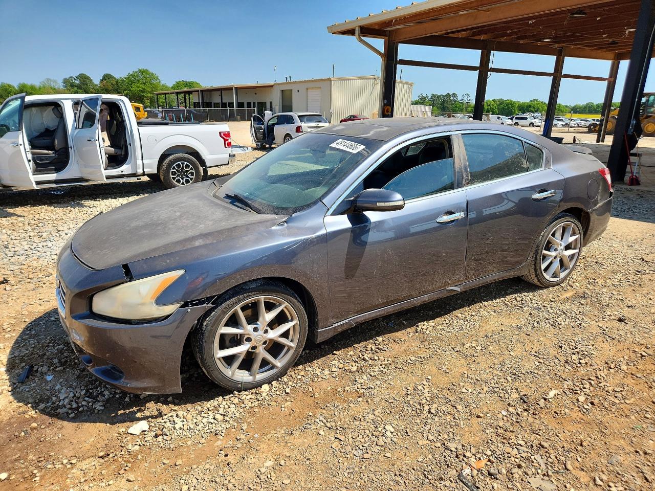 Salvage Nissan Maxima Image
