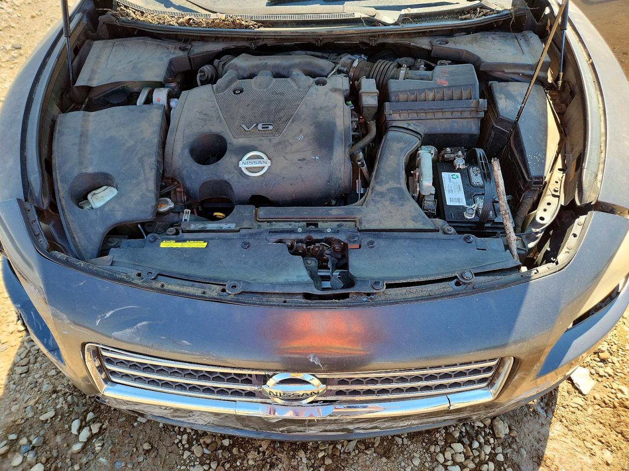 Nissan Maxima 3.5 S