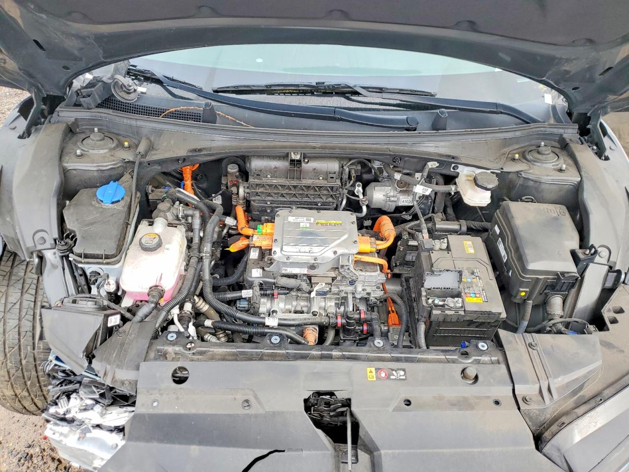 Kia EV6 Wind