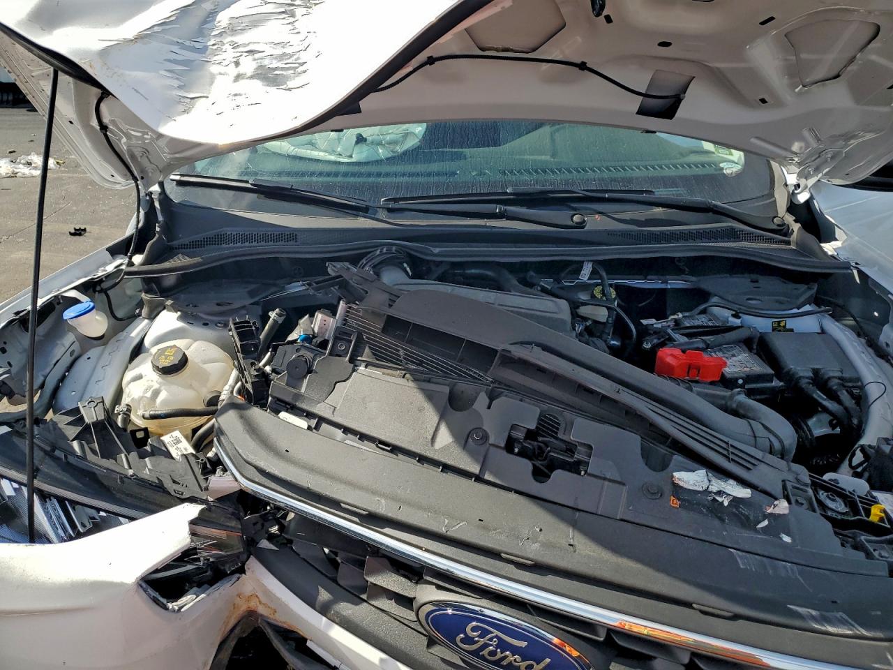 Ford Escape Active