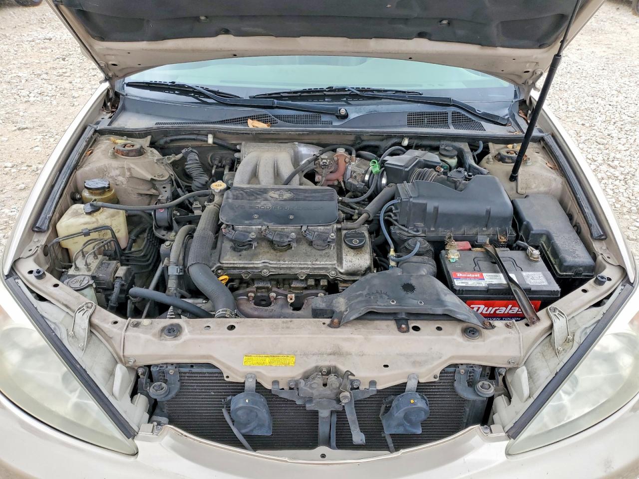 Toyota Camry Xle V6