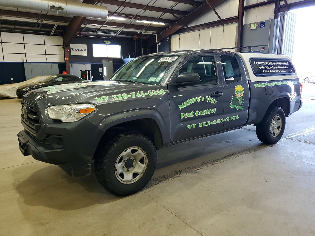 Salvage Toyota Tacoma Image