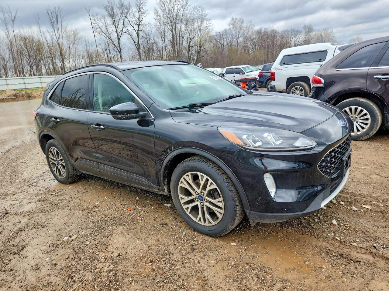 Ford Escape Sel