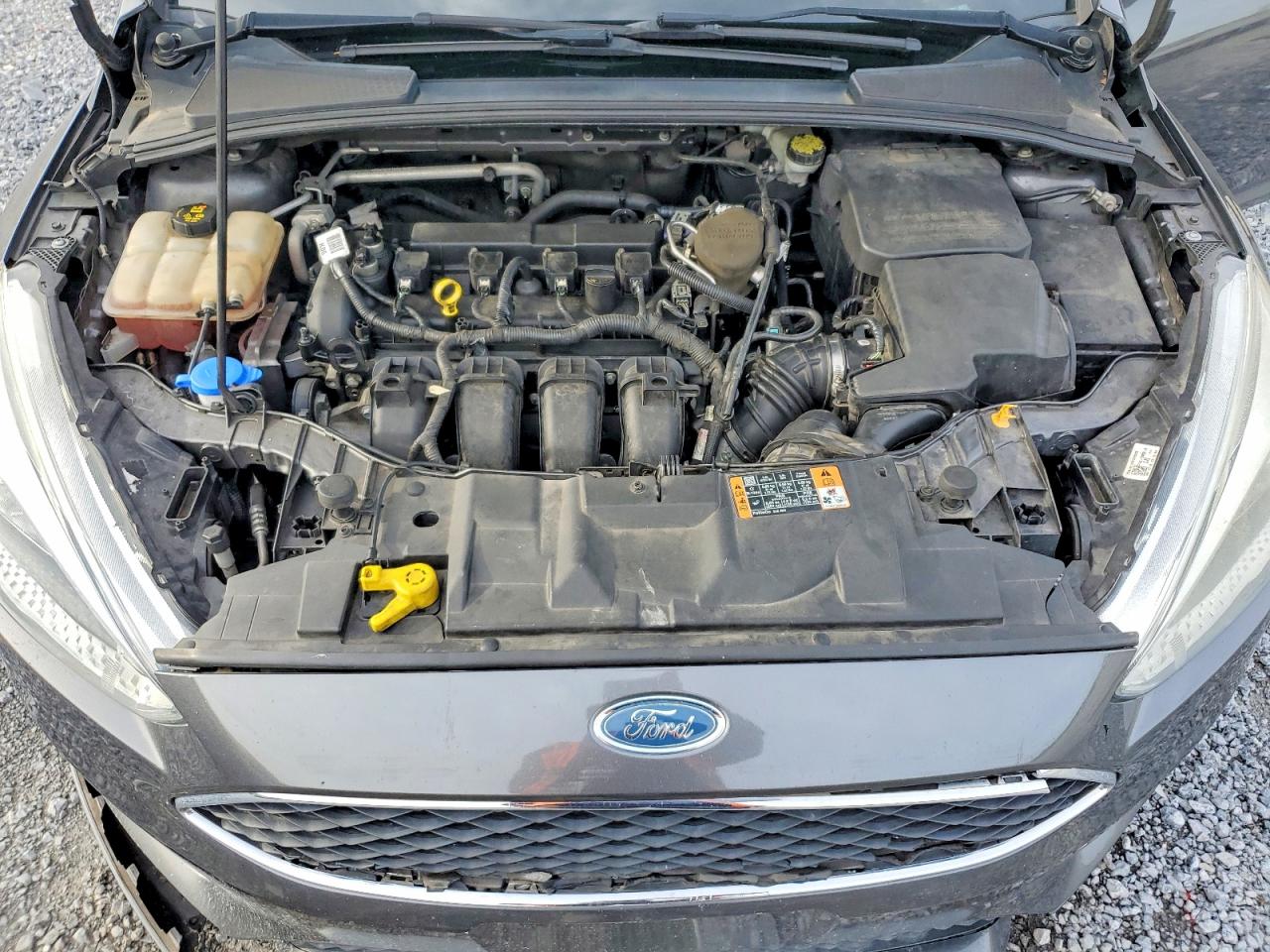 Ford Focus Se