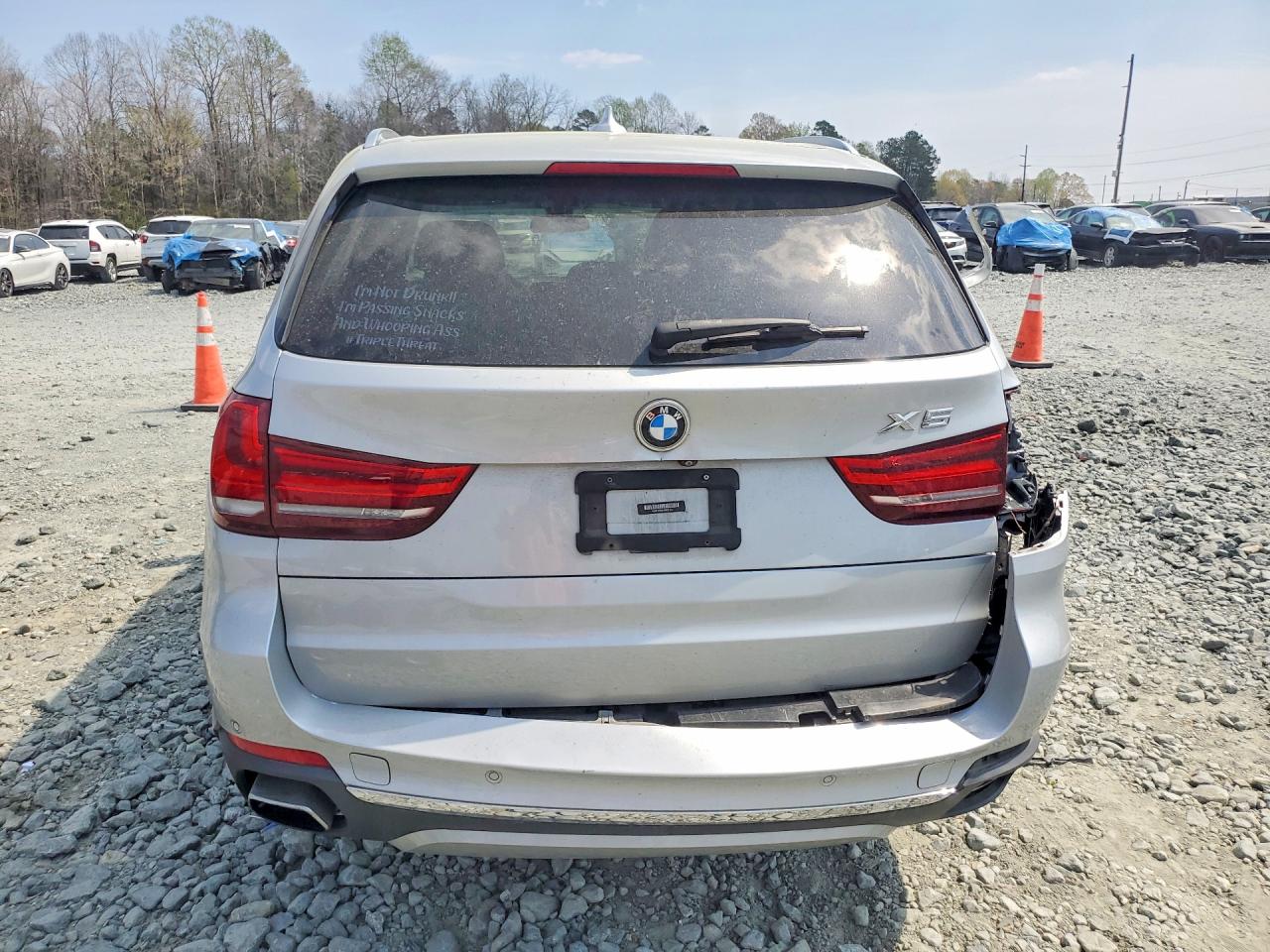 BMW X Series Xdr40e