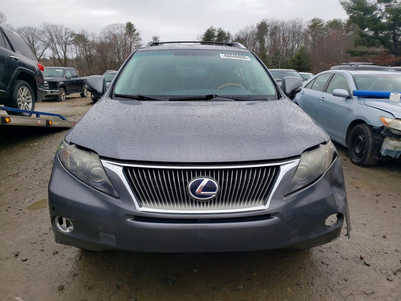 Lexus RX Base