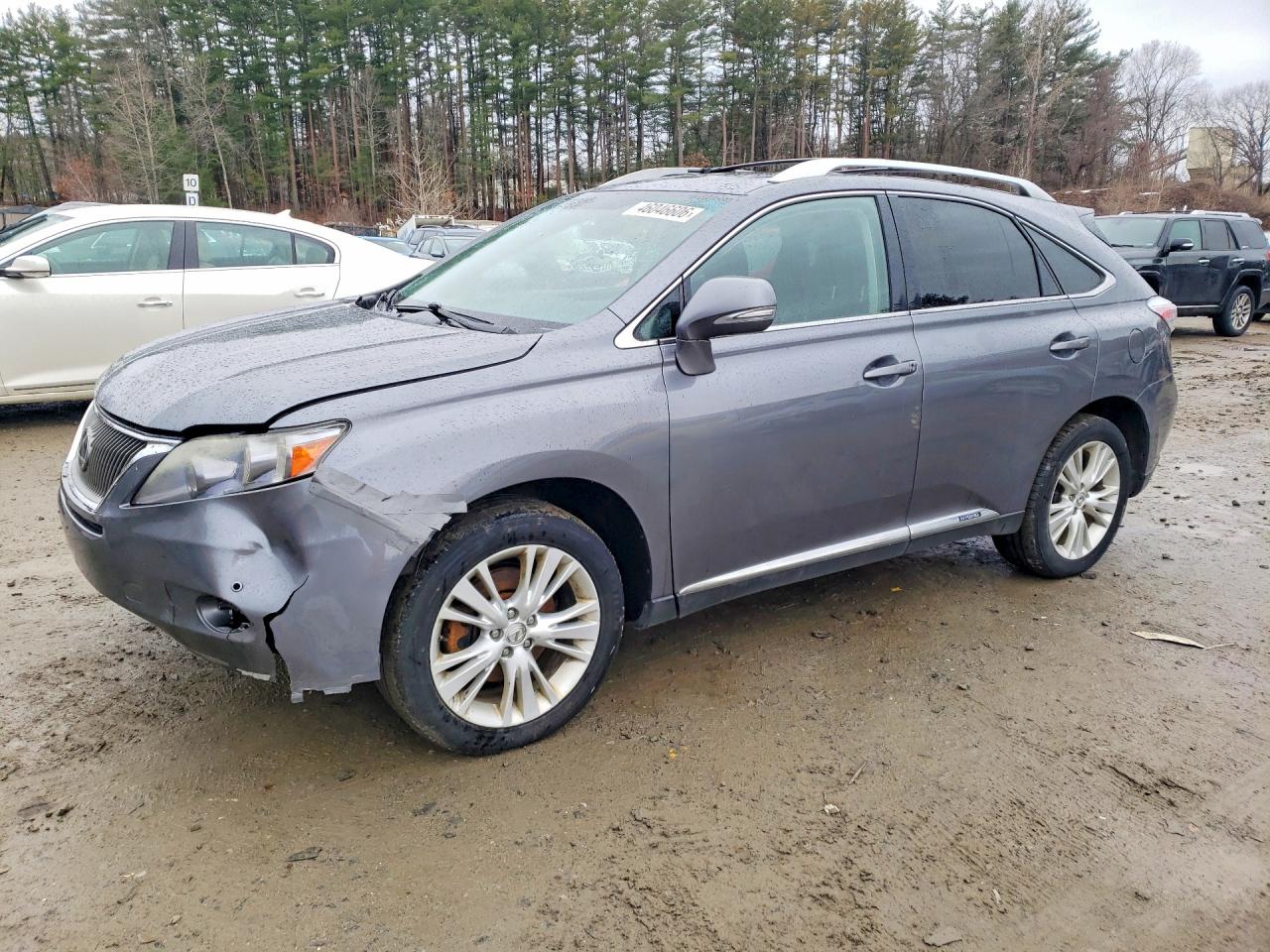 Salvage Lexus RX Image