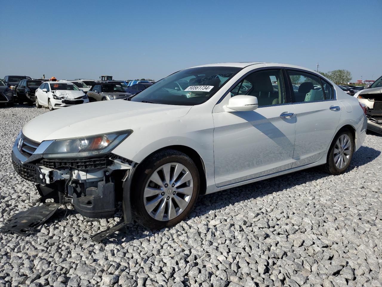Salvage Honda Accord Image