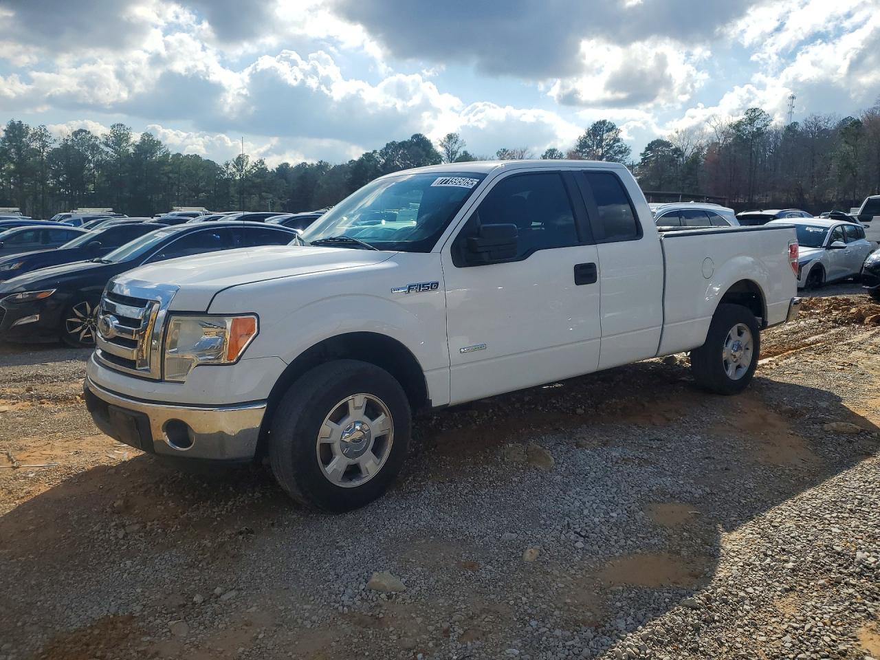 Salvage Ford F-150 Image