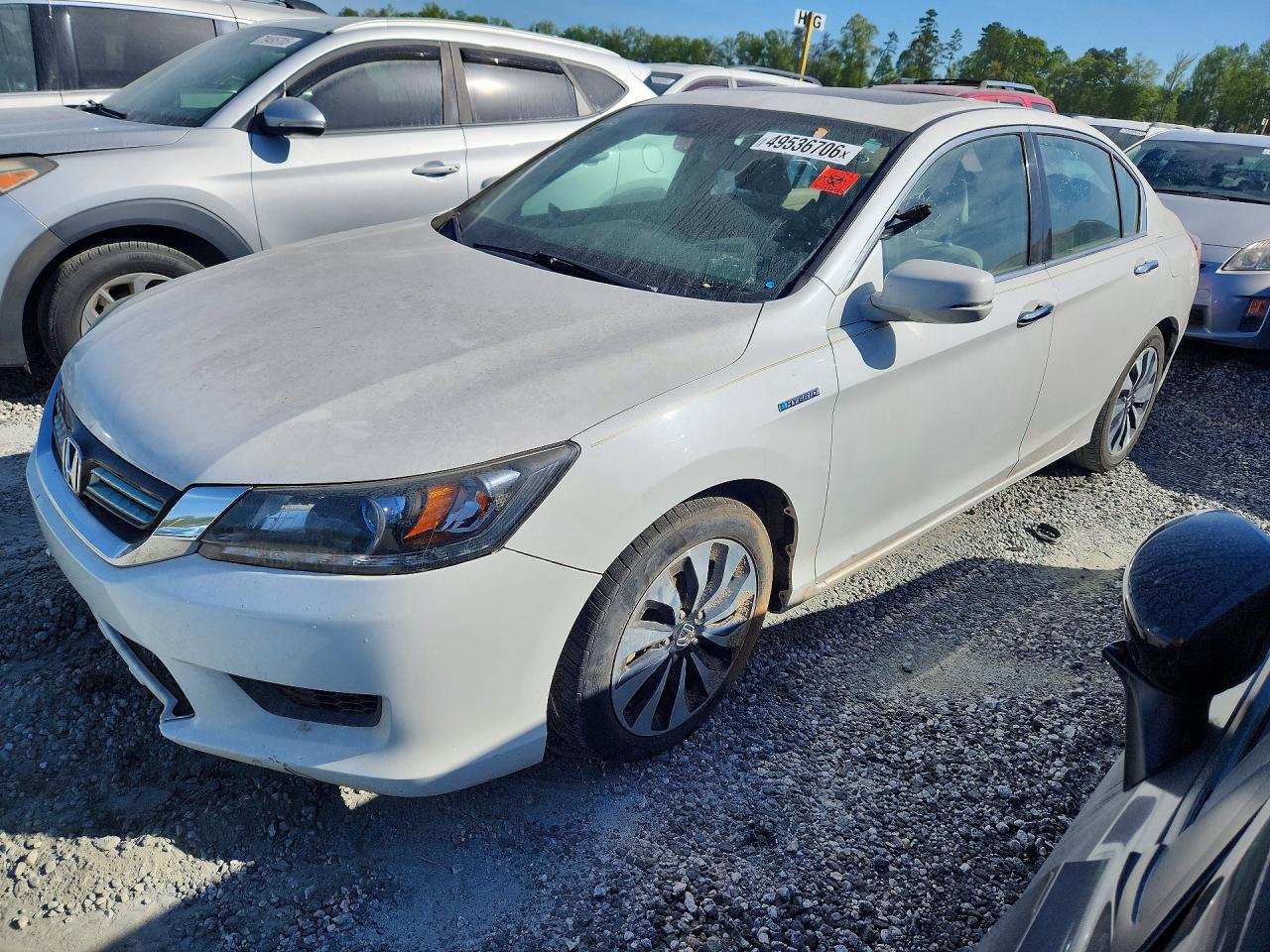 Salvage Honda Accord Image
