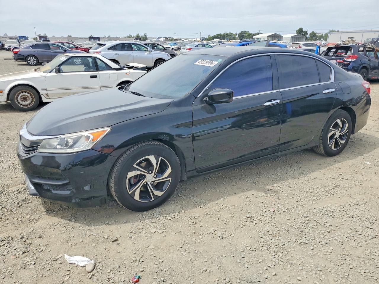 Salvage Honda Accord Image