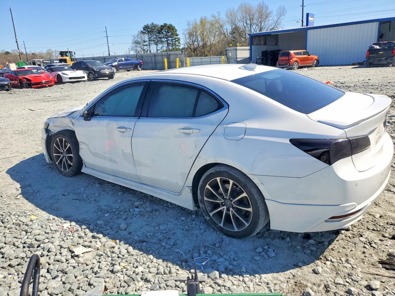 Acura TLX Advance