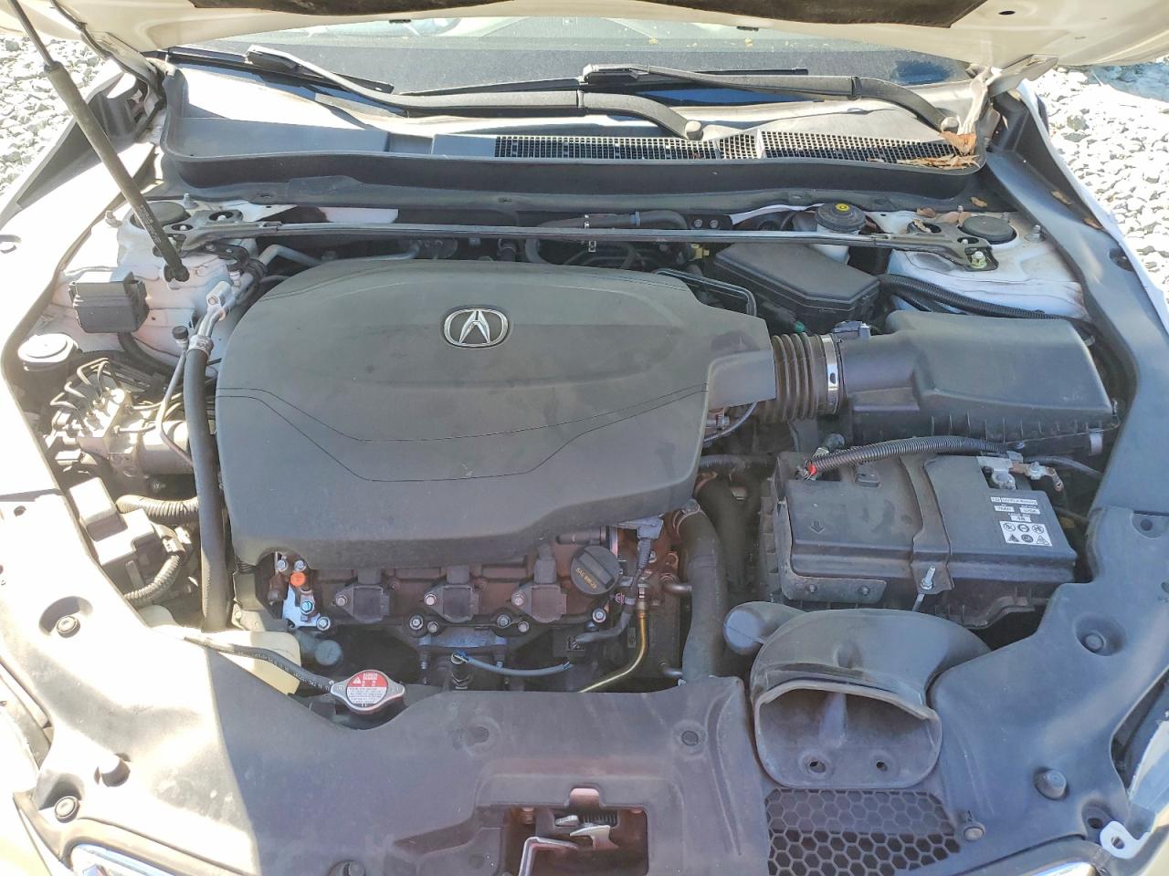 Acura TLX Advance
