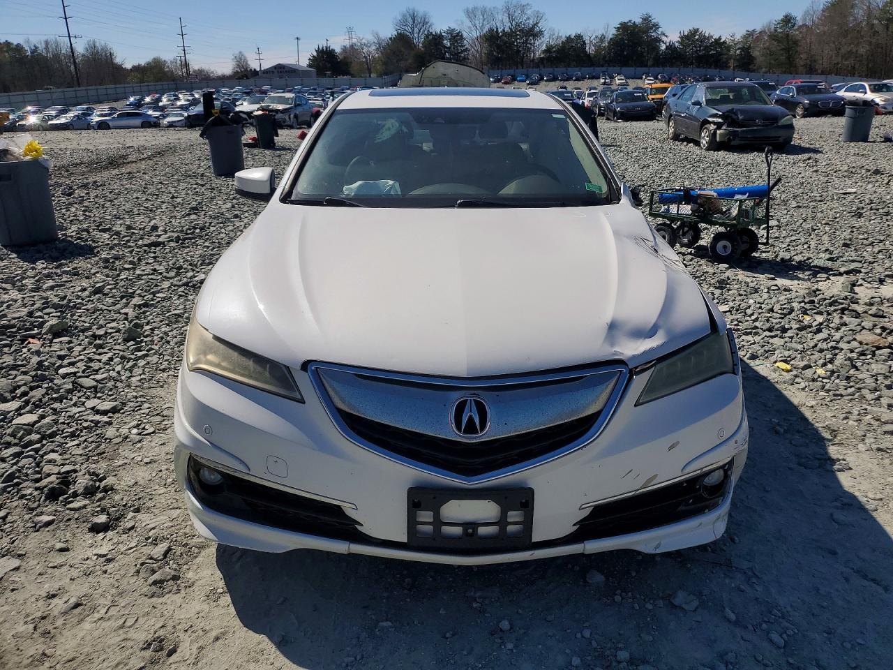 Acura TLX Advance