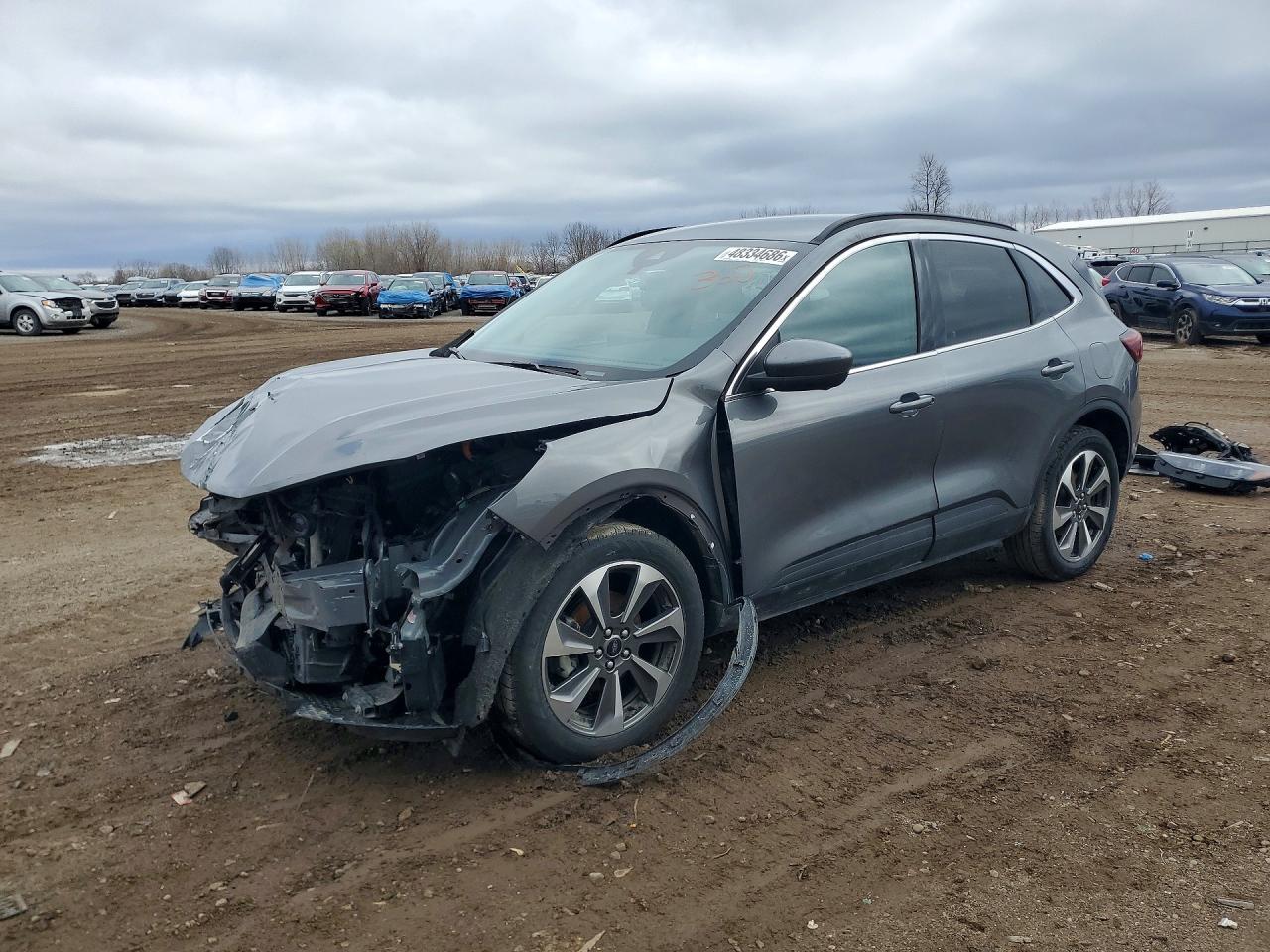 Salvage Ford Escape Image