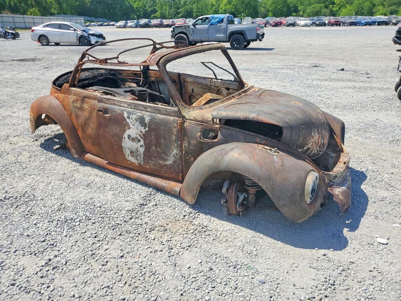 Volkswagen Beetle