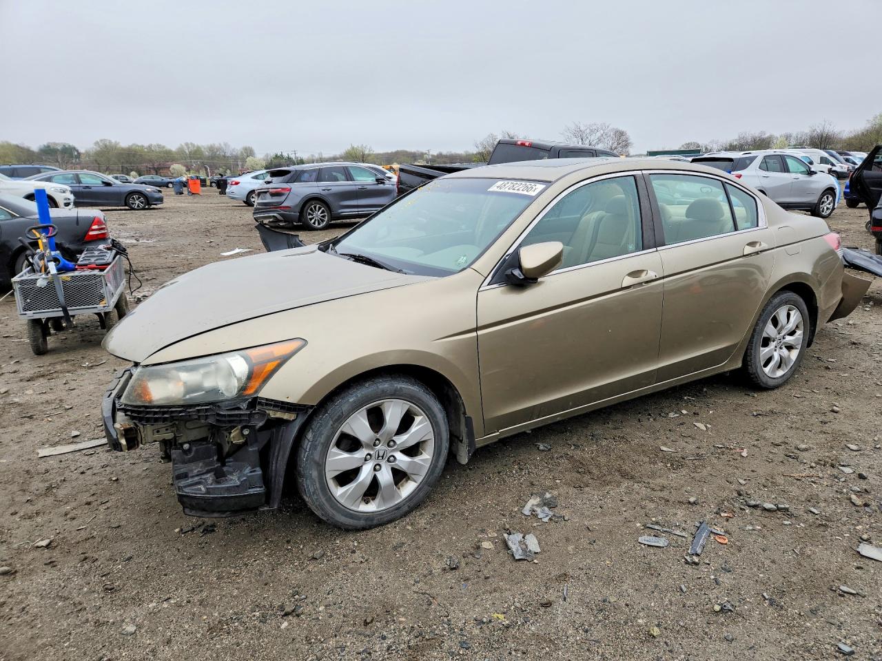 Salvage Honda Accord Image