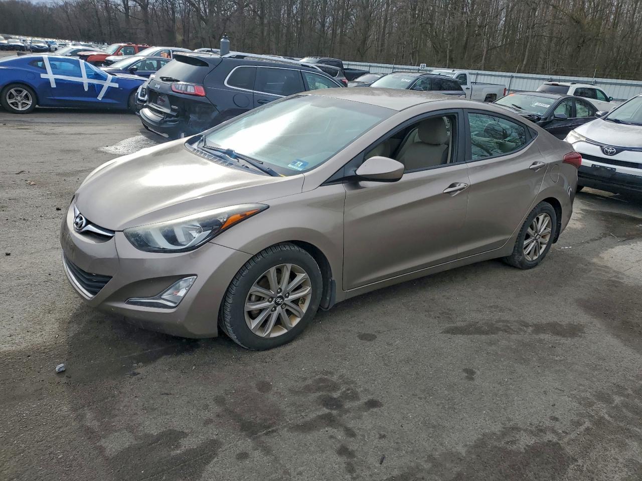 Salvage Hyundai ELANTRA Image