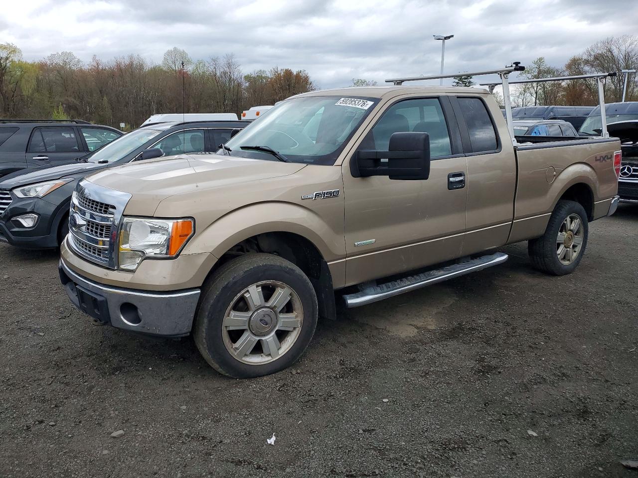 Salvage Ford F-150 Image