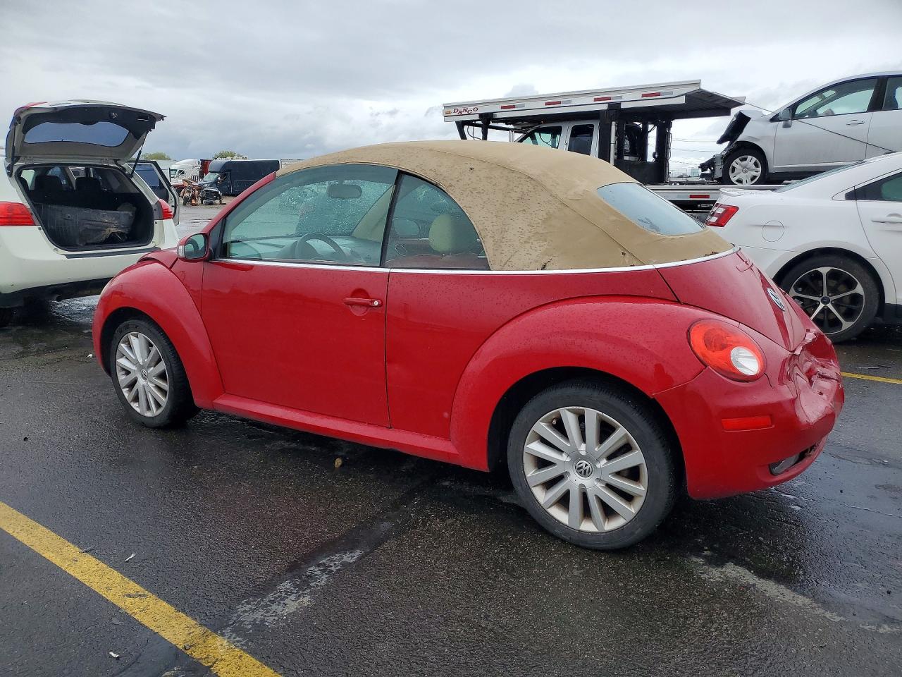 Volkswagen Beetle