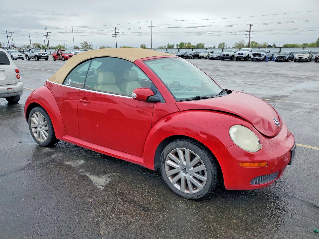 Volkswagen Beetle