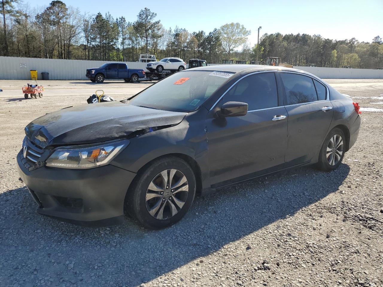 Salvage Honda Accord Image
