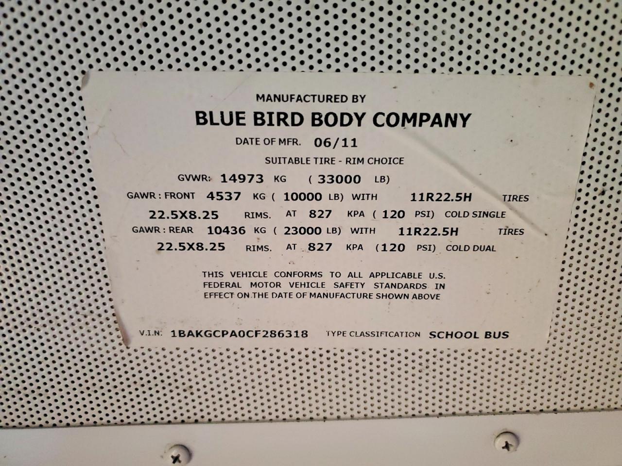 Bluebird Other