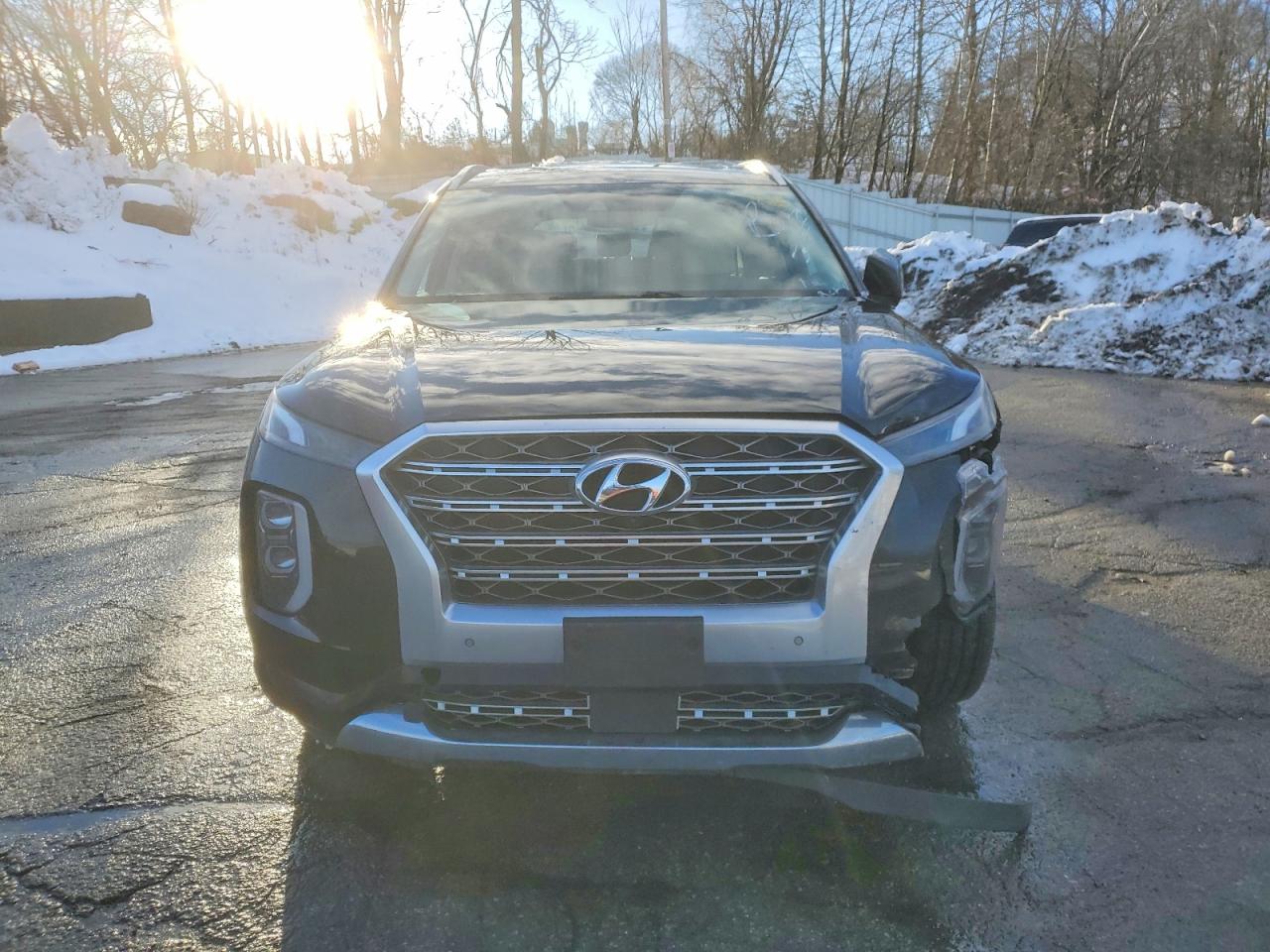 Hyundai PALISADE Limited