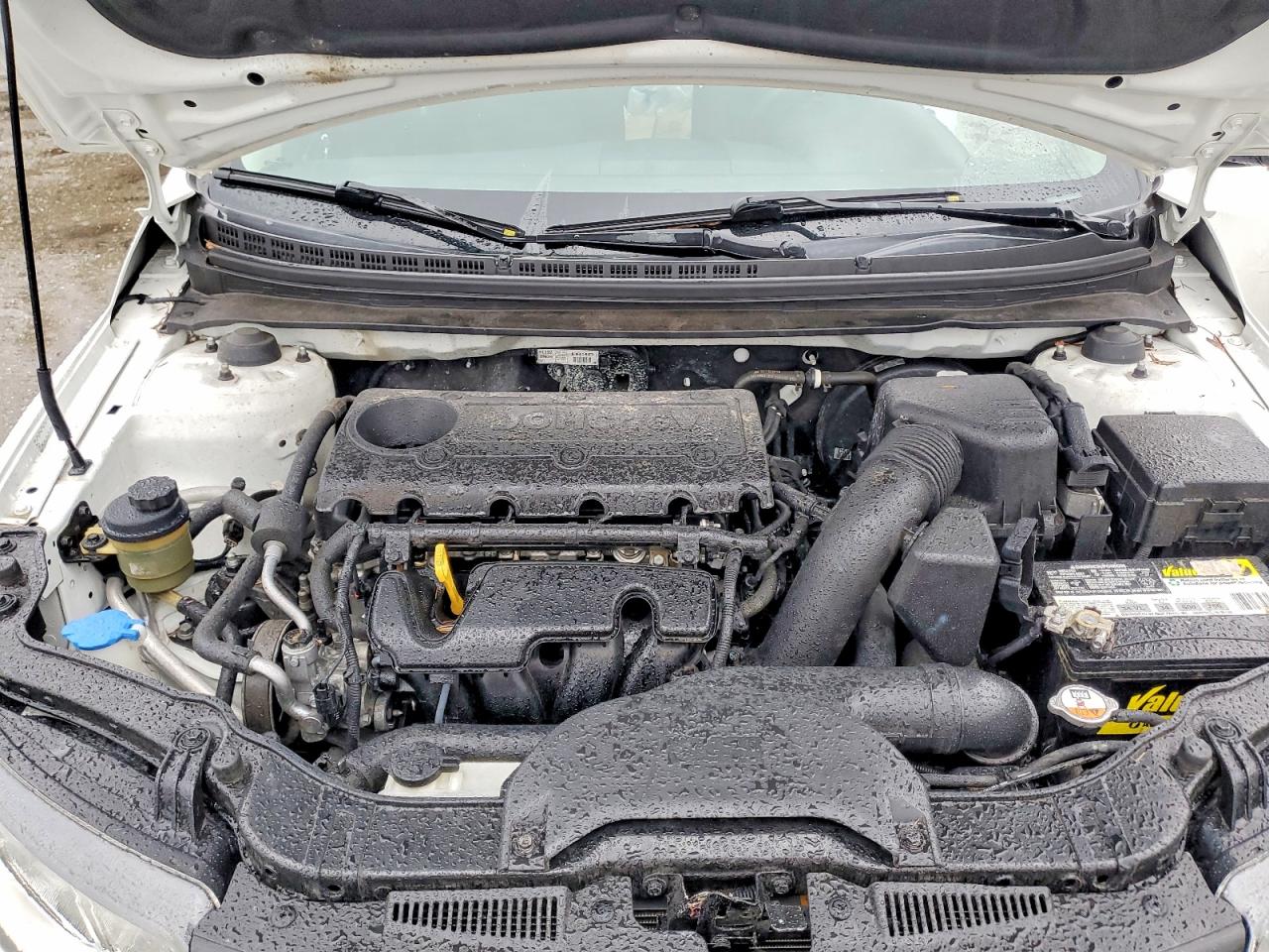 Kia Forte Ex