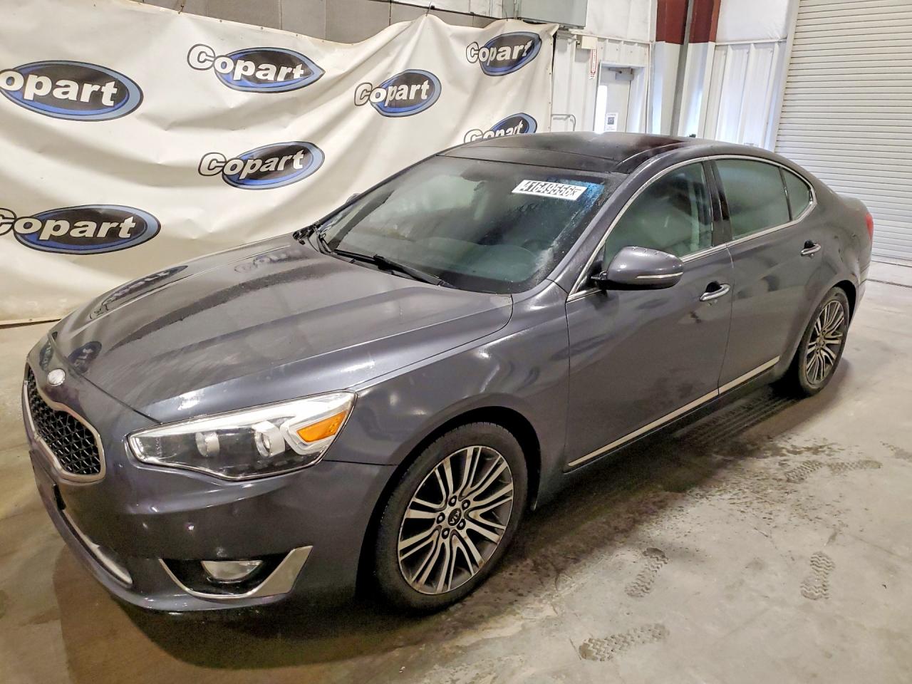 Salvage Kia Cadenza Image