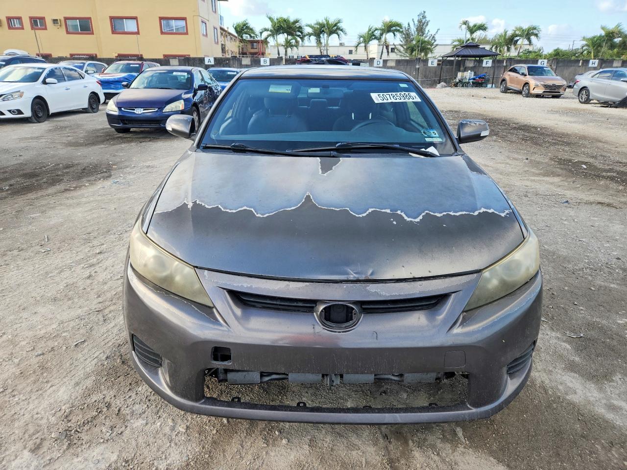 Scion TC Base
