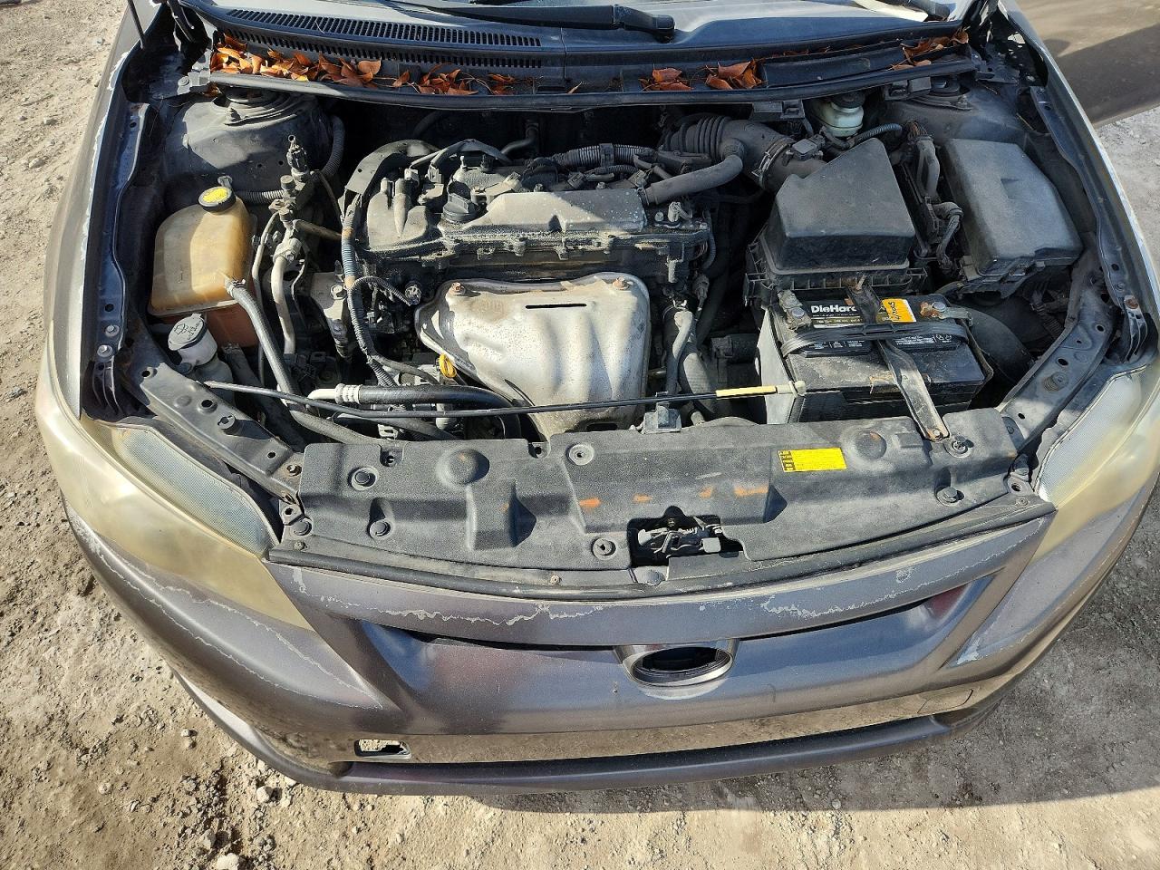 Scion TC Base