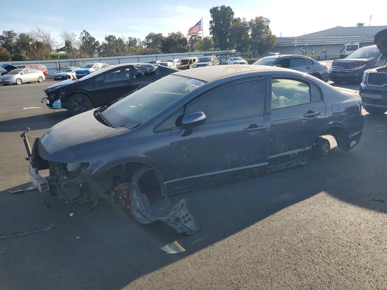 Salvage Honda Civic Image