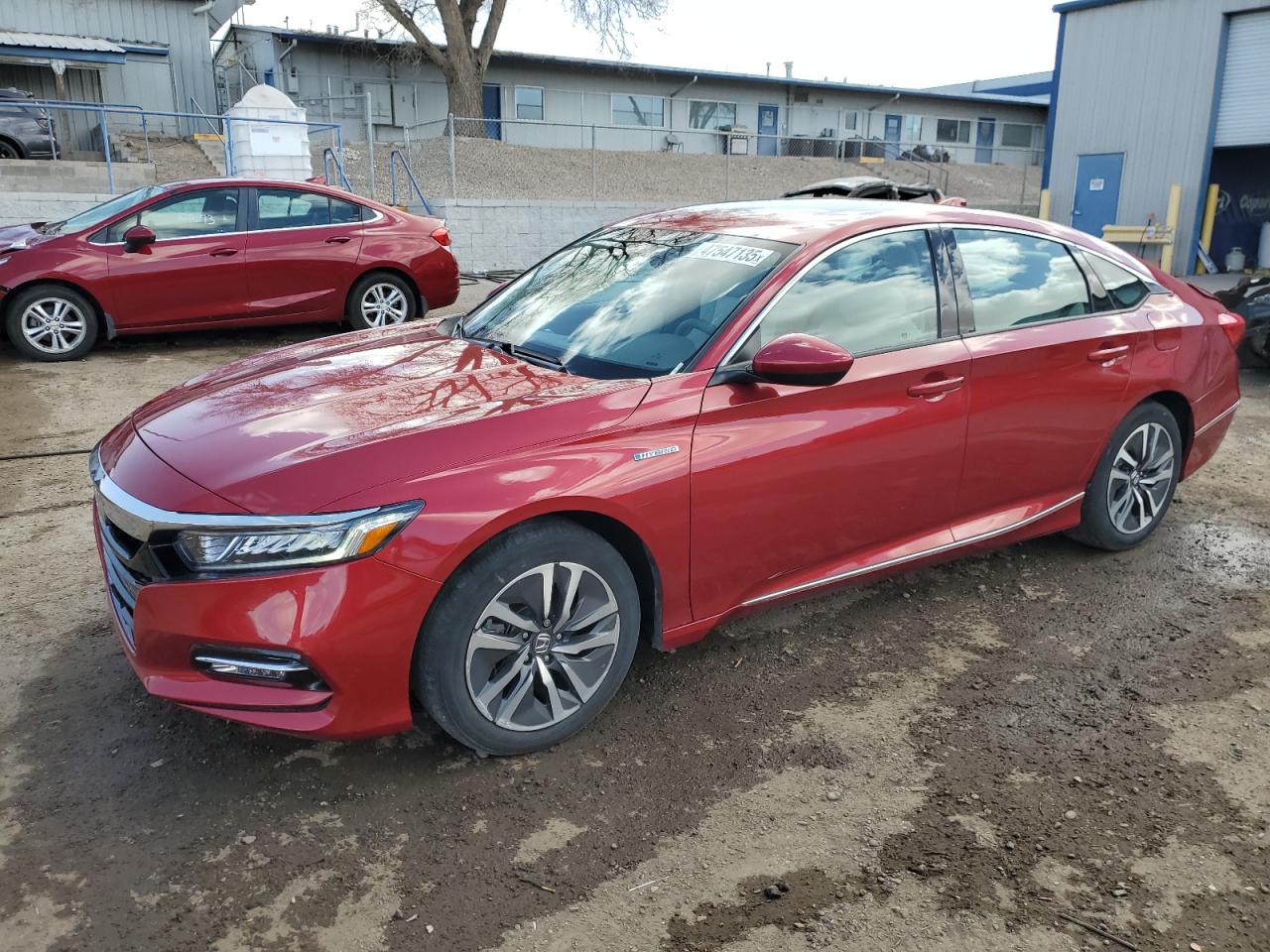 Salvage Honda Accord Image