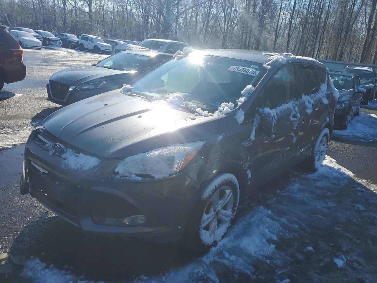 Salvage Ford Escape Image