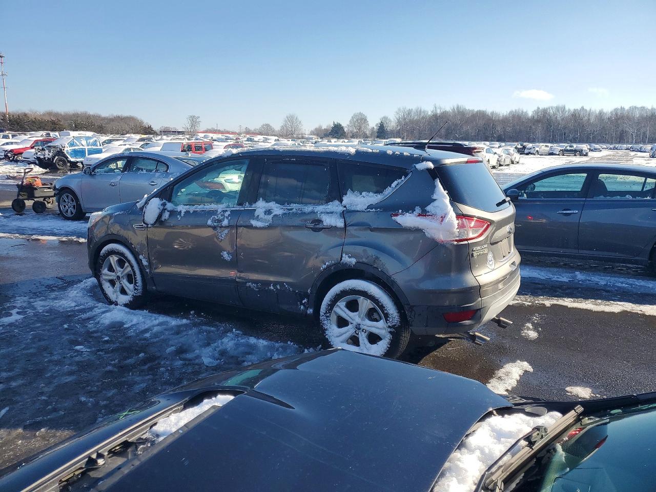 Ford Escape Se