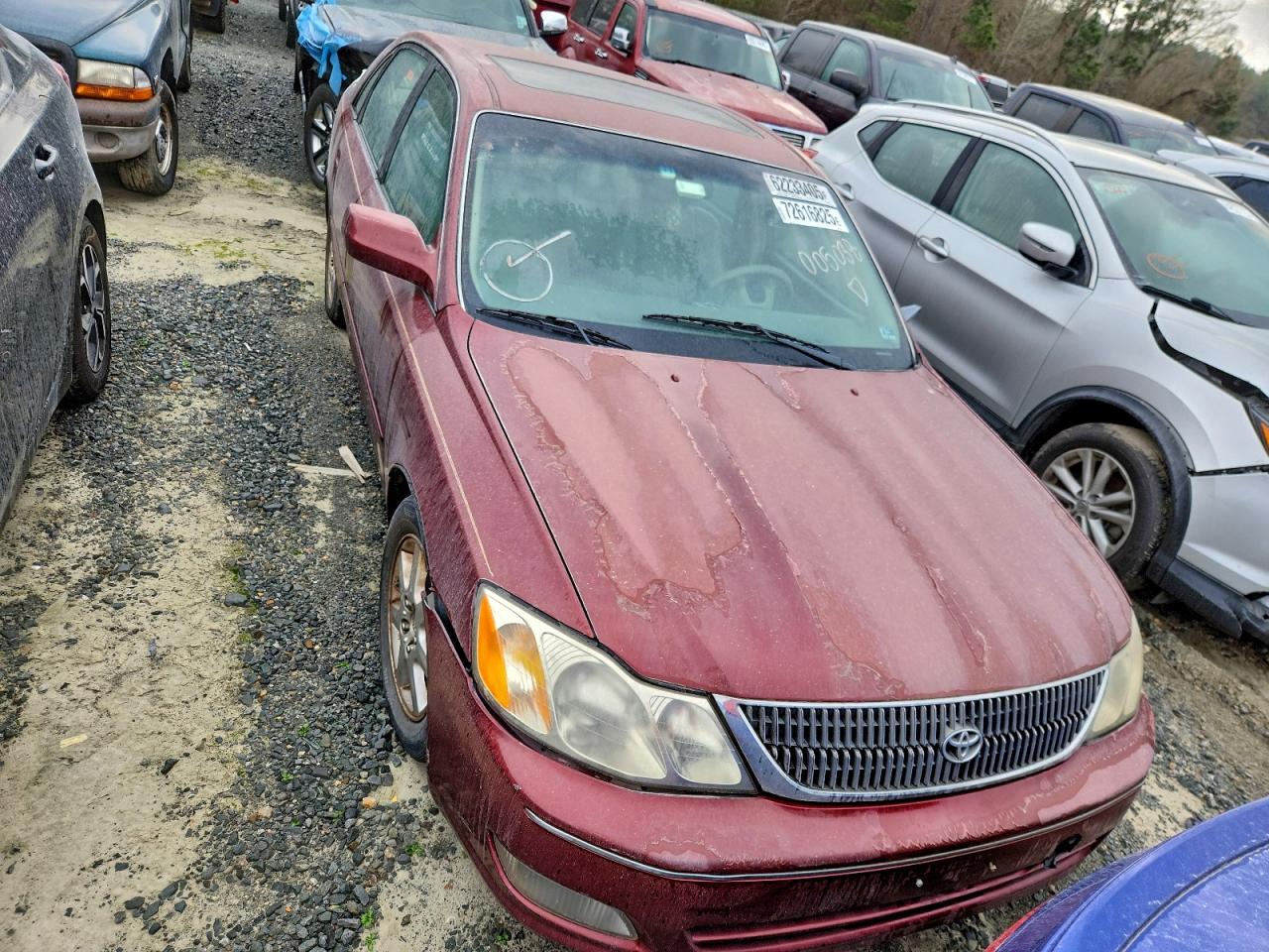 Toyota Avalon Xl