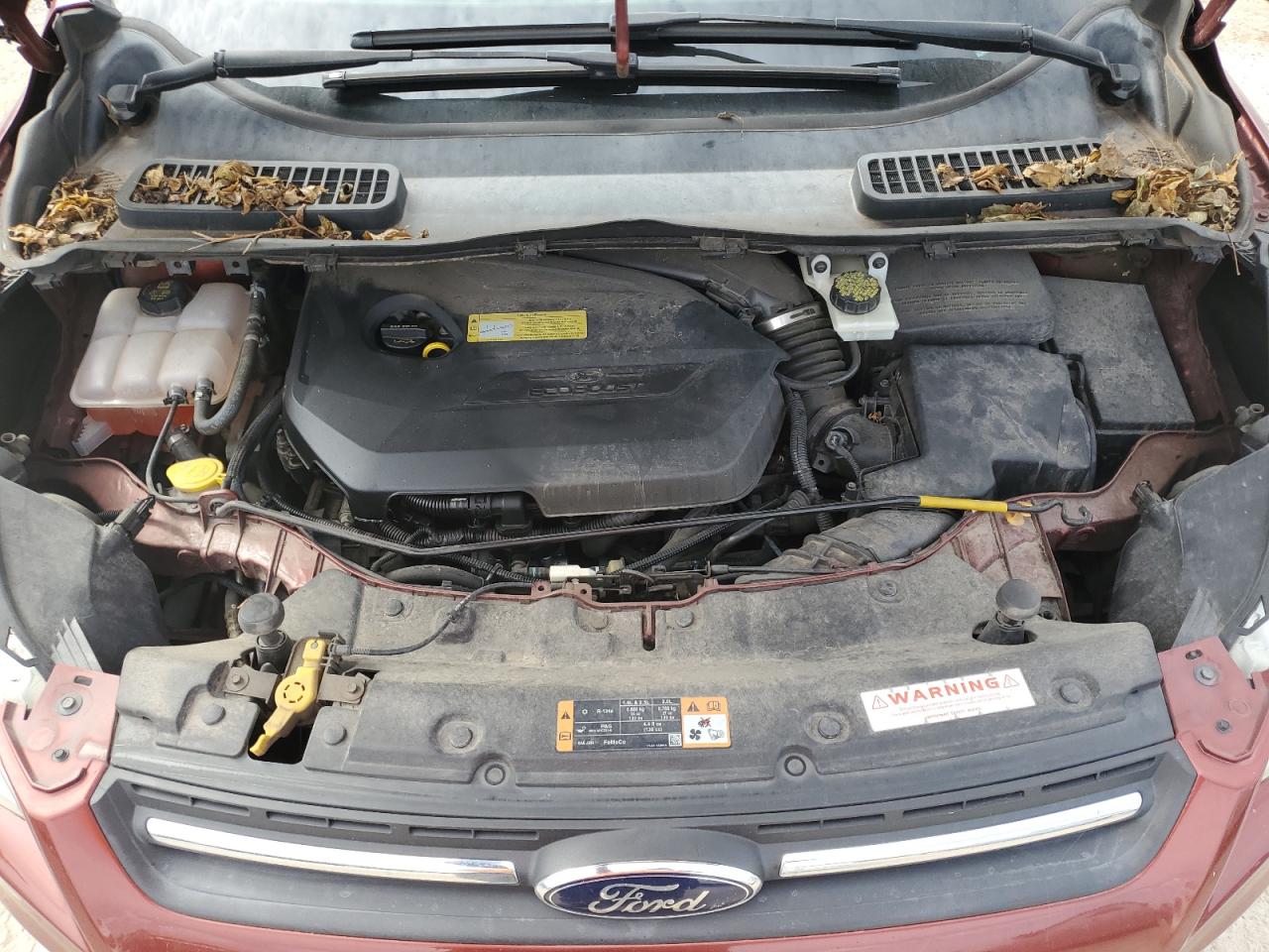 Ford Escape Se