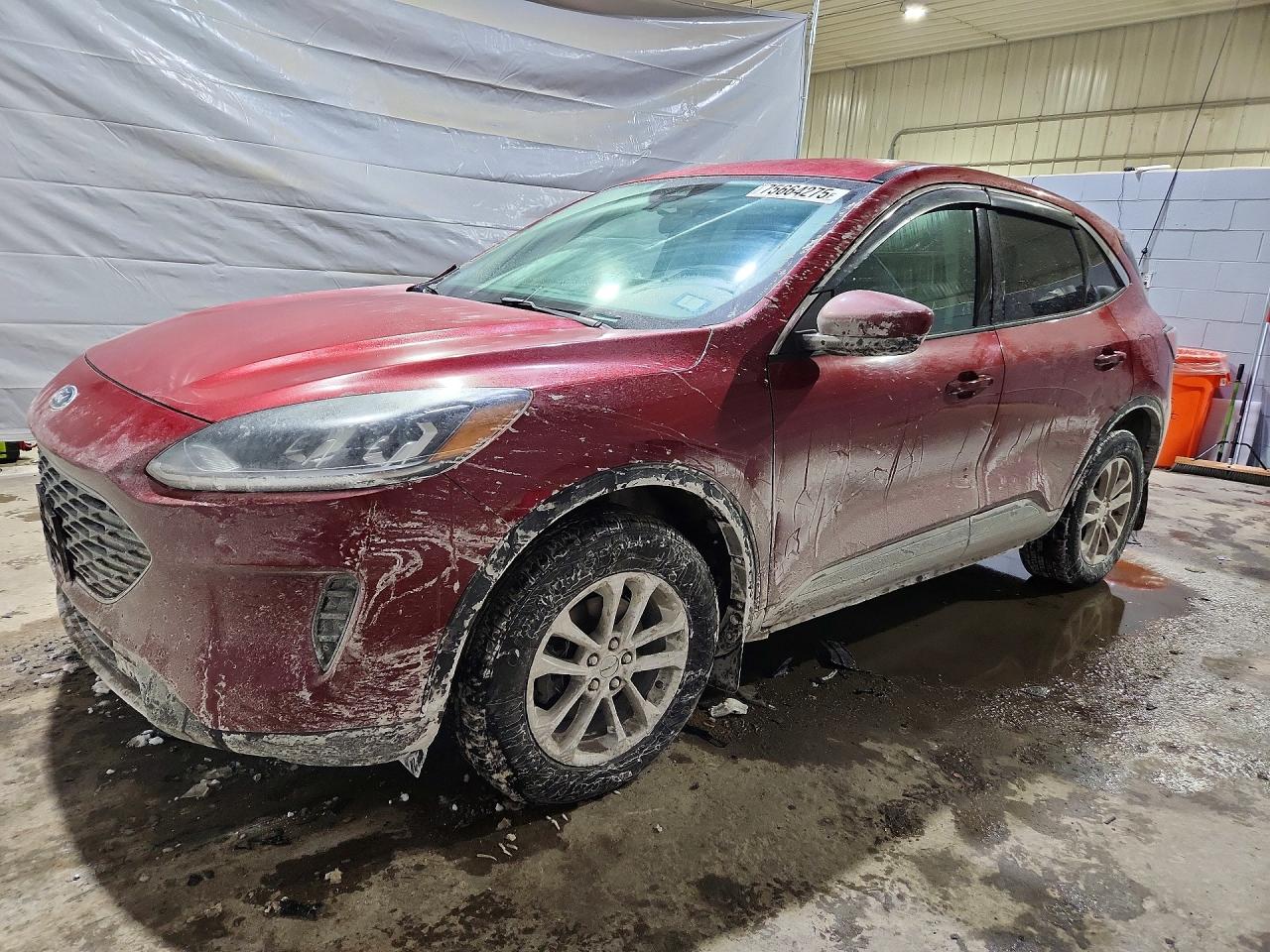 Salvage Ford Escape Image