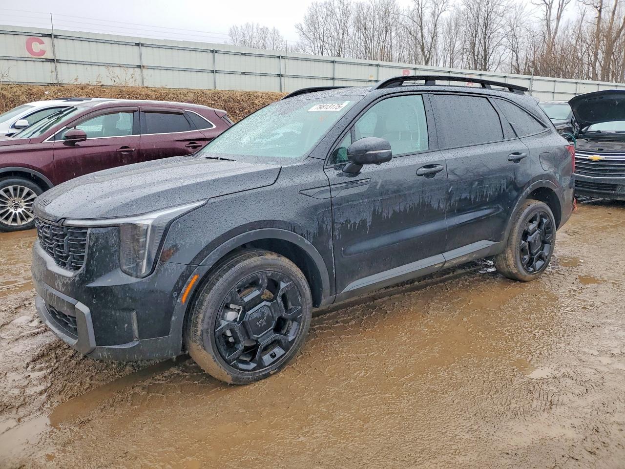 Salvage Kia Sorento Image