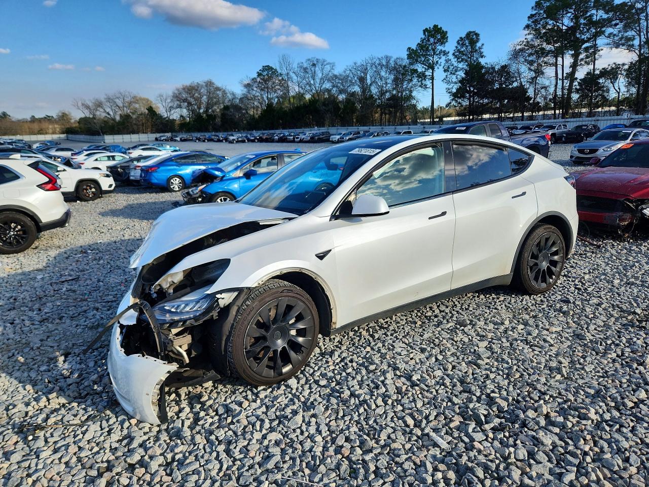 Salvage Tesla Model Y Image