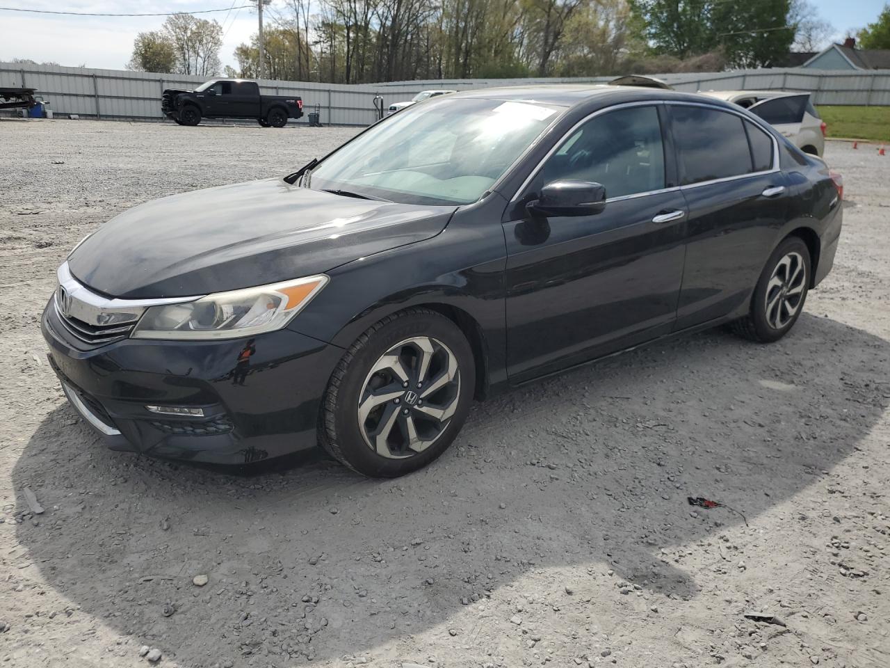 Salvage Honda Accord Image