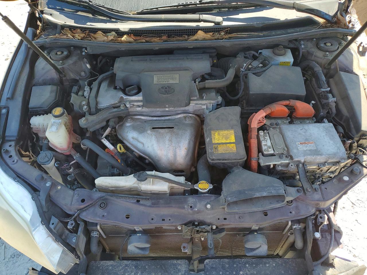 Toyota Avalon Xle Premium