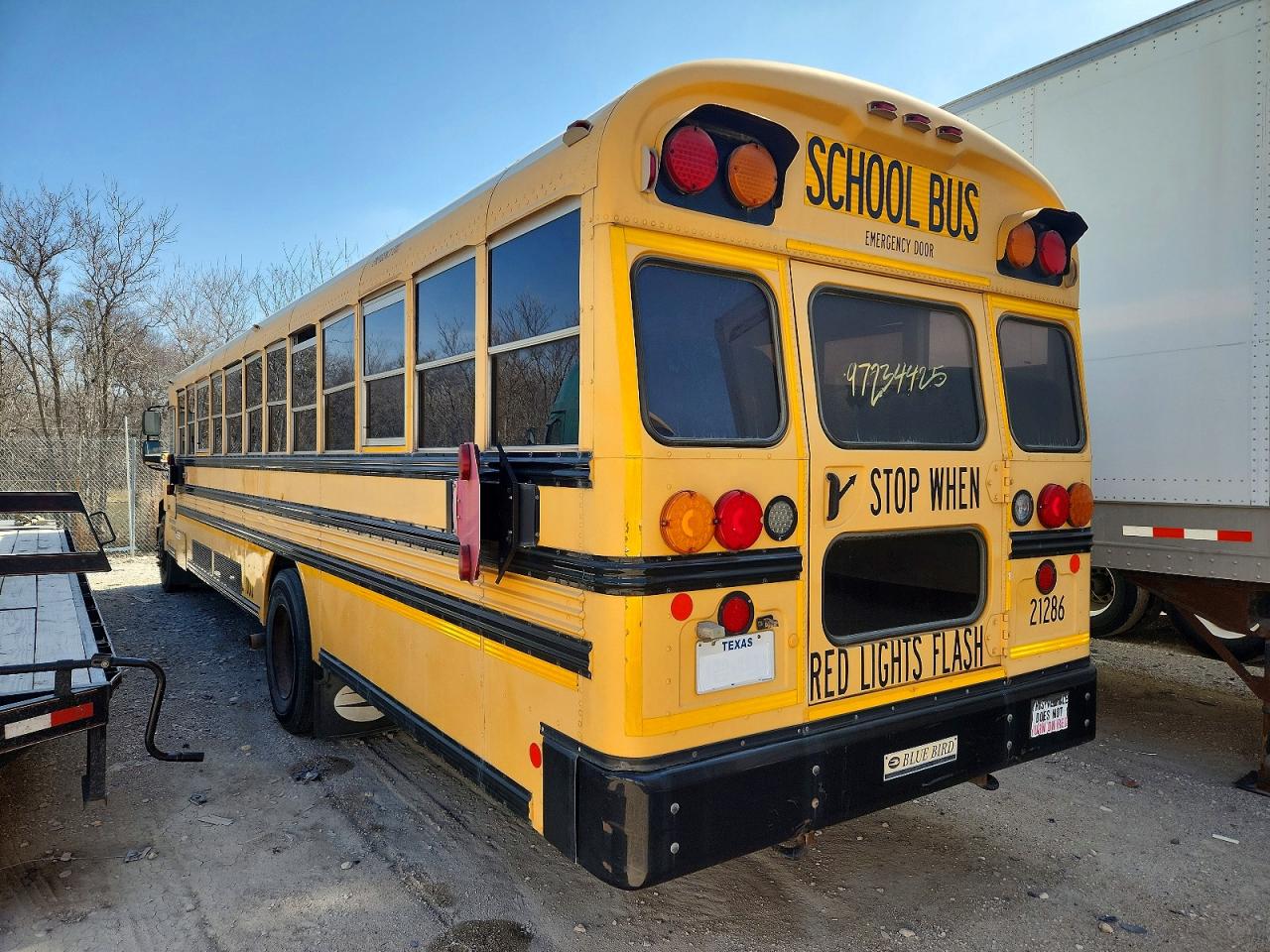 Blue Bird School Bus Transit Bus